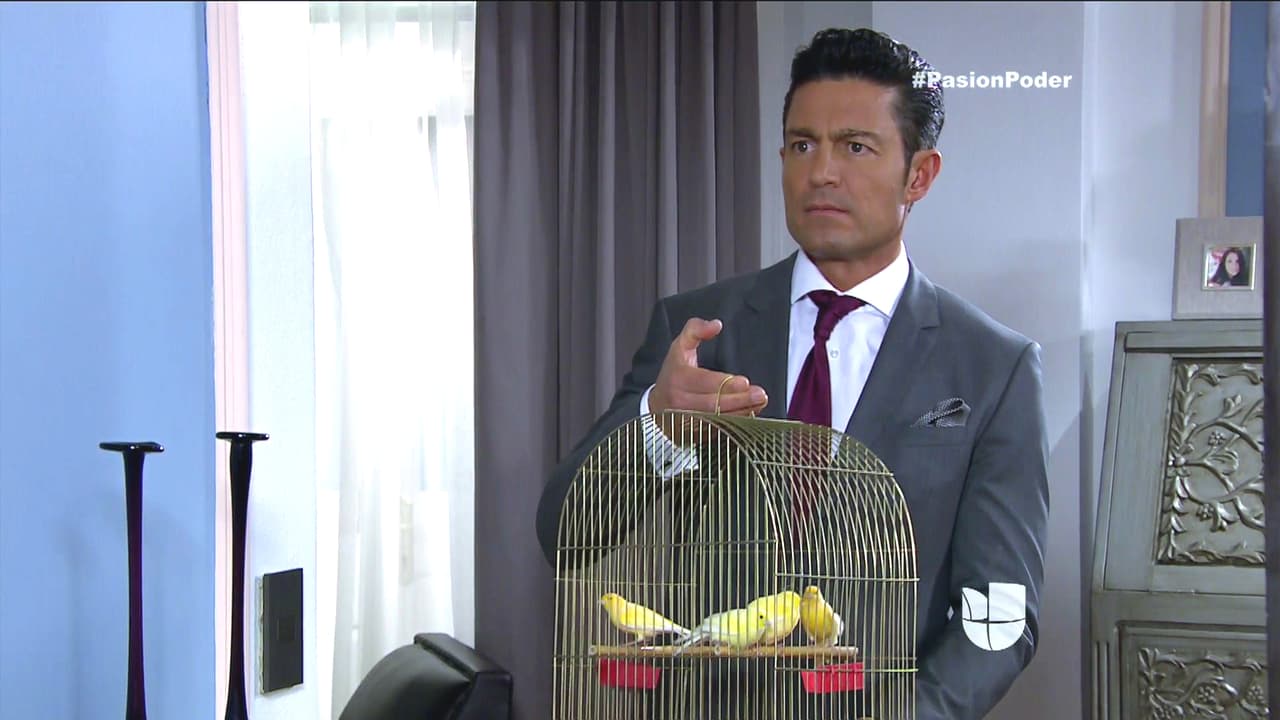 Eladio quiere hacer todo lo posible por recuperarte Julia.