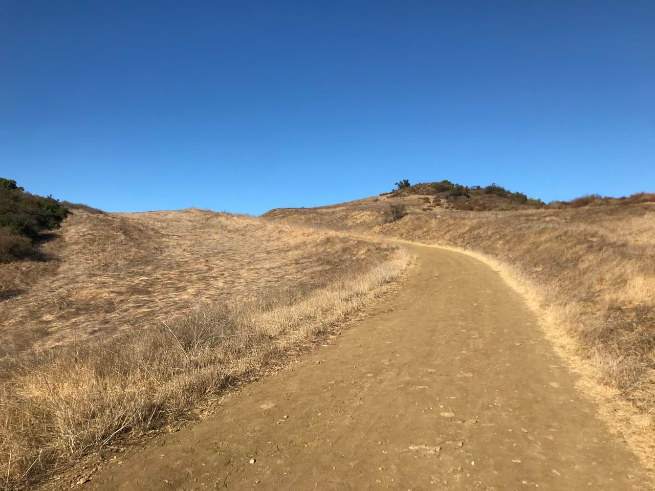 Botellas de plástico pueden calentarse bajo el sol en horas de calor pico y las consecuencias pueden ser devastadoras en zonas secas.
<br>Paseo a Santa Ynez Canyon, Eagle Rock en las montañas de Santa Monica.
<br>