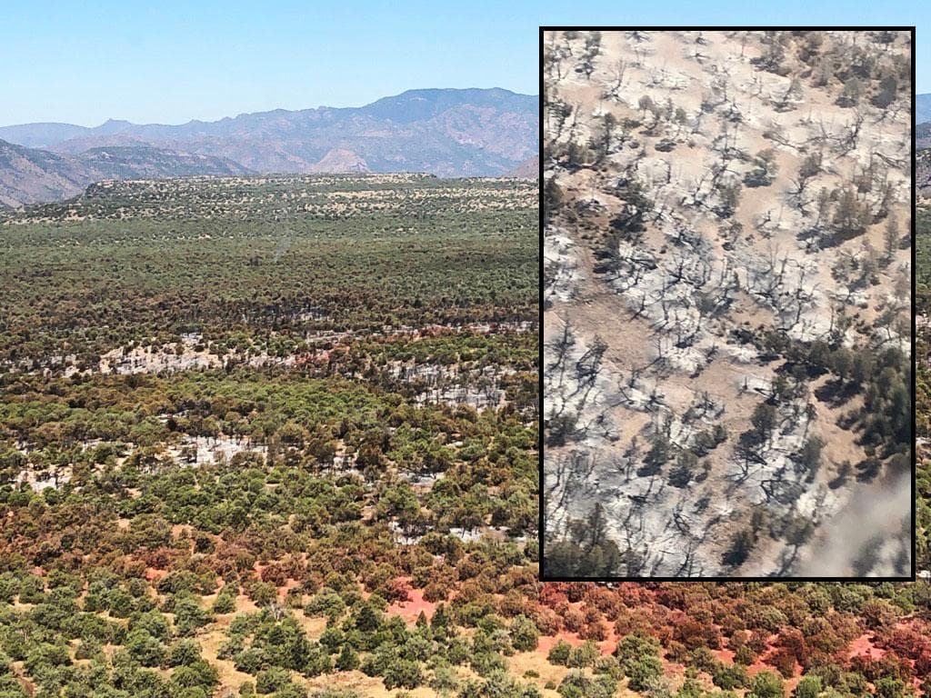 “No hay amenazas actuales del incendio de Polles a las comunidades de Pine-Strawberry o Payson. Alentamos a los residentes a familiarizarse con el programa Ready-Set-Go de Arizona”, indican los funcionarios del Bosque Nacional Tonto. 
<br>