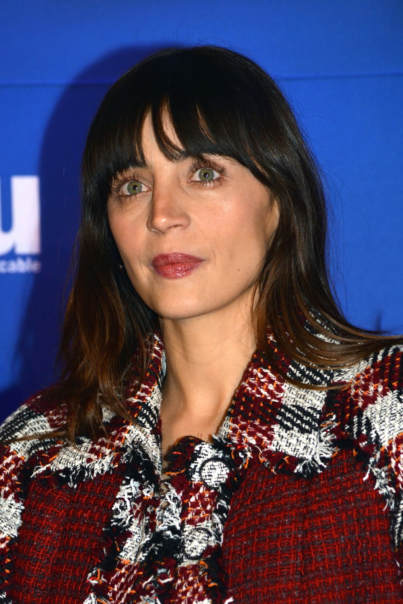 Previo a alzar la mano para la bioserie de Elba Esther Gordillo, Ilse Salas dio vida a María Vicenta en la película ’Hidalgo, la historia jamás contada’ (2010), a Valentina Ivanova en ‘Cantinflas’ (2014) y a Diana Riojas en la serie ‘Historia de un crimen: Colosio’ (2019).