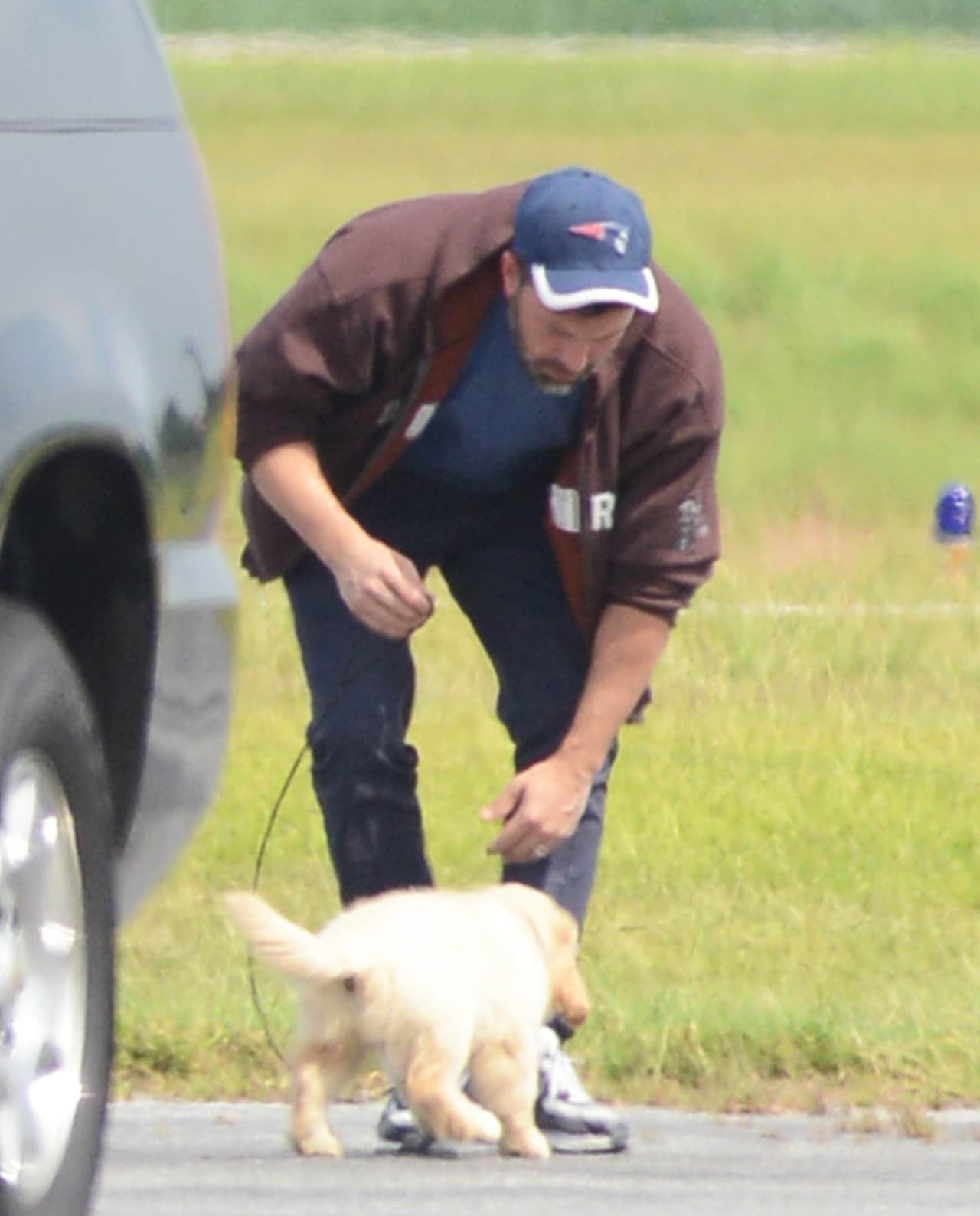 El perrito aún sin nombre movía la cola alegremente.