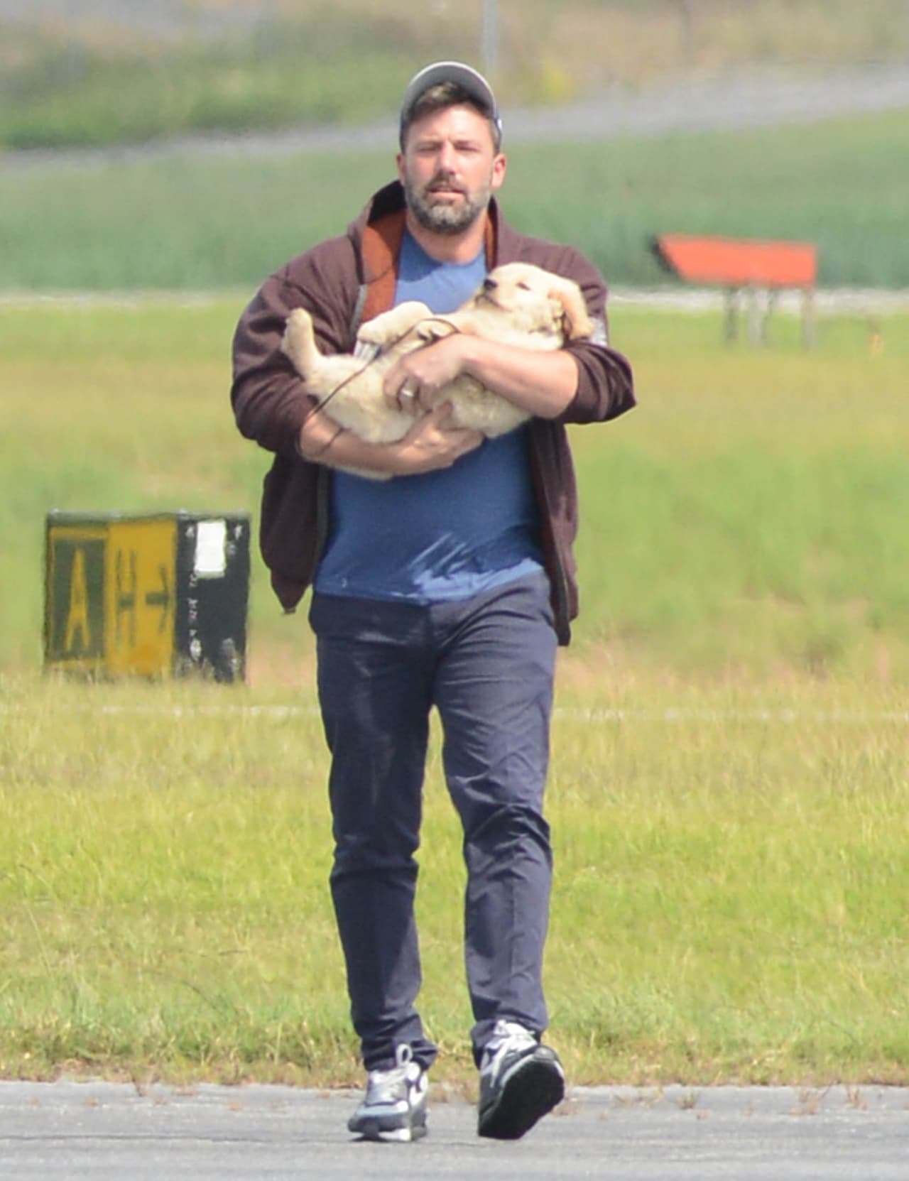 ¡Él no hace ningún esfuerzo por moverse!