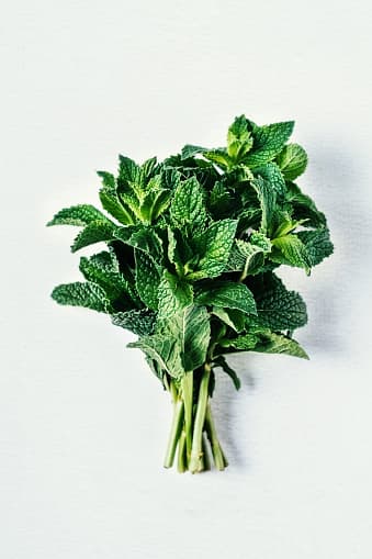 <b>Hierbas y flores.-</b> En el caso de este producto sólo podrán ingresar a México si se encuentran deshidratadas y empaquetadas de forma comercial y con el sello de una autoridad sanitaria. Además, debe comprobarse que su lugar de origen está libre de plagas y enfermedades.