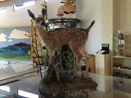 Otras alternativas del parque incluyen el Centro de Naturaleza Sooky Goldman, el Anfiteatro Sam Goldman y el Auditorio Eugene y Michael Rosenfeld.
<br>