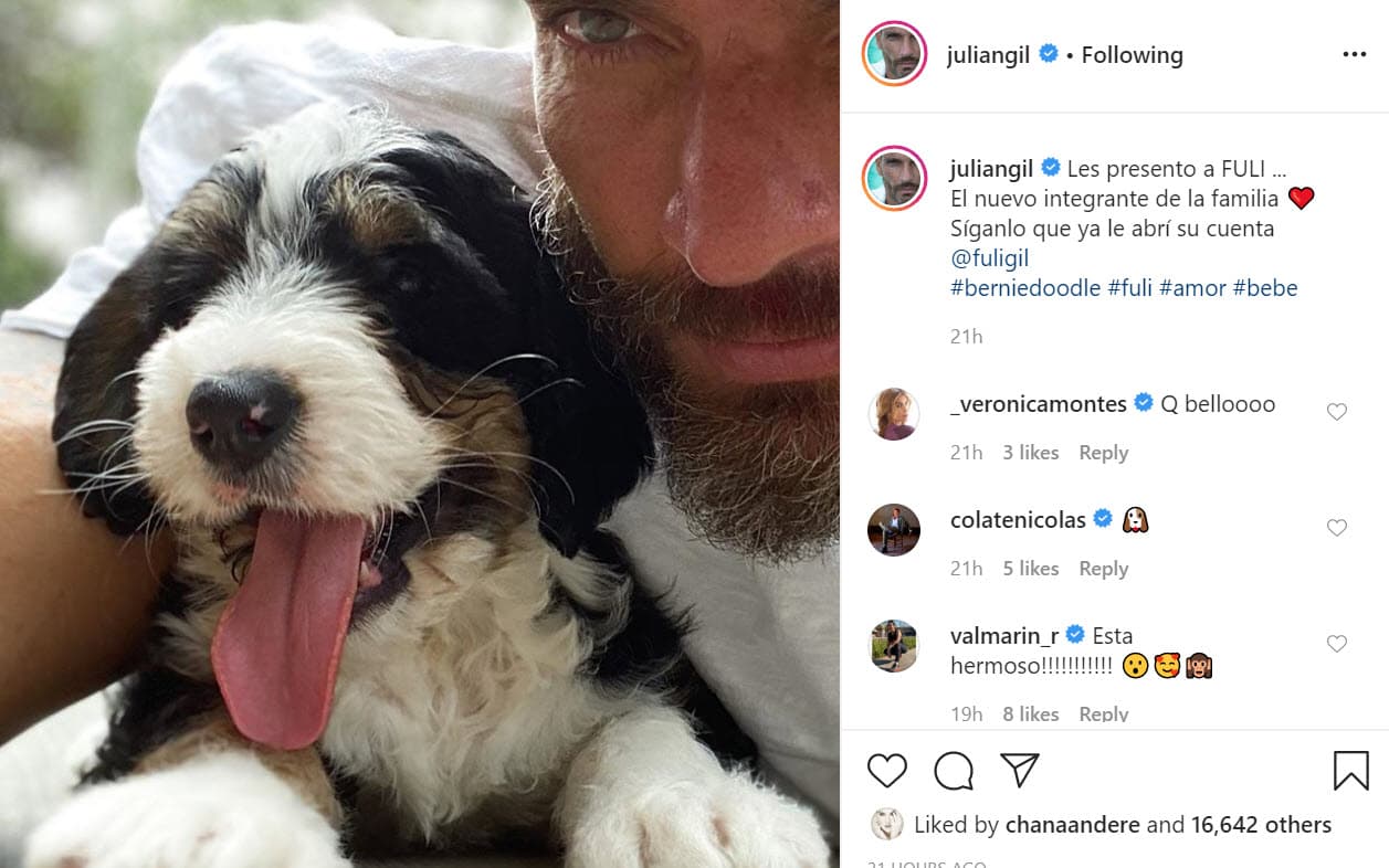 A través de Instagram presentó a su nueva mascota: "
<b><a href="https://www.instagram.com/p/CAQ14qlJNMN/" target="_blank">Les presento a Fuli</a></b>... el nuevo integrante de la familia". 
<br>