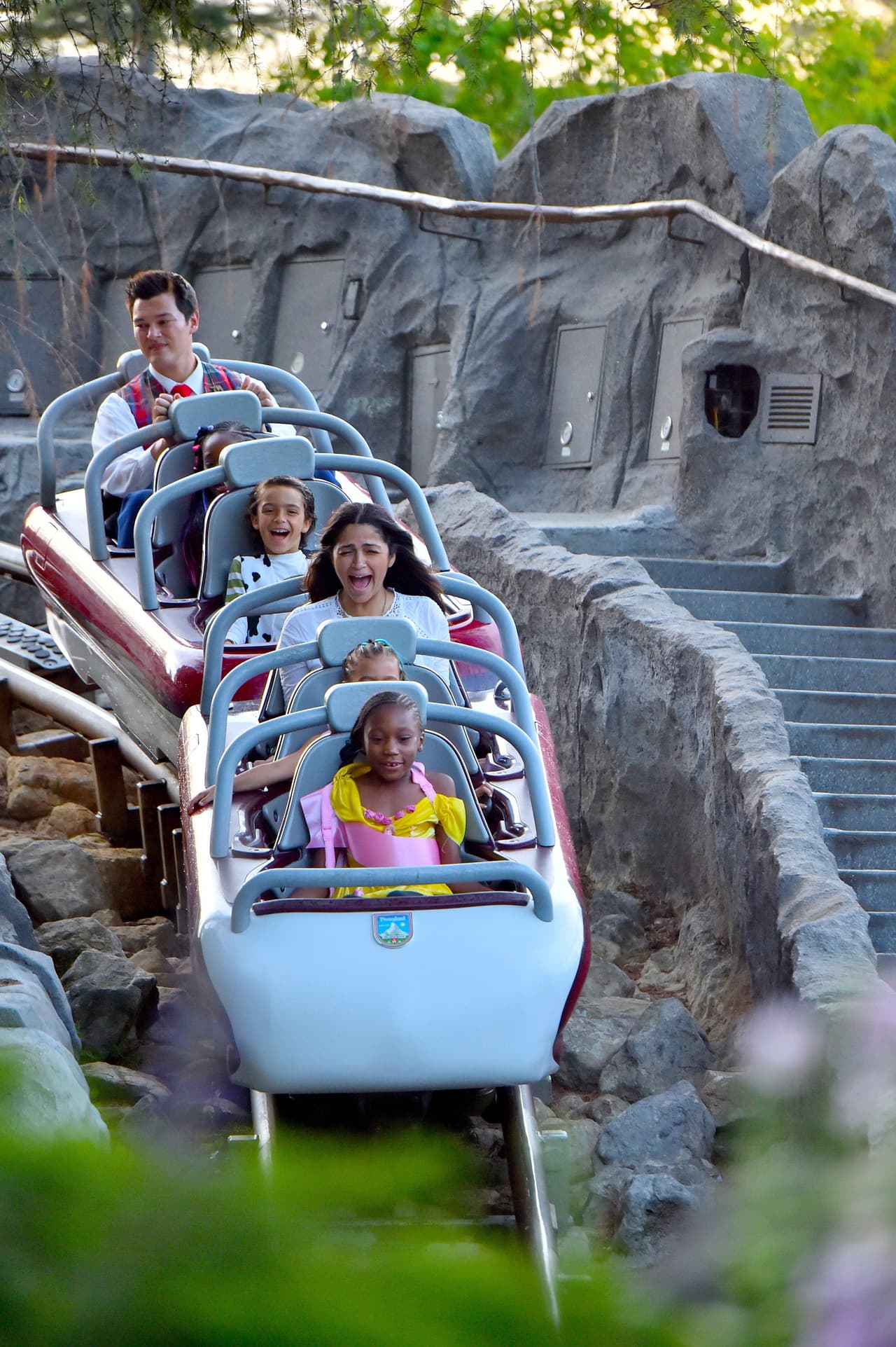 Después se subieron al Matterhorn.