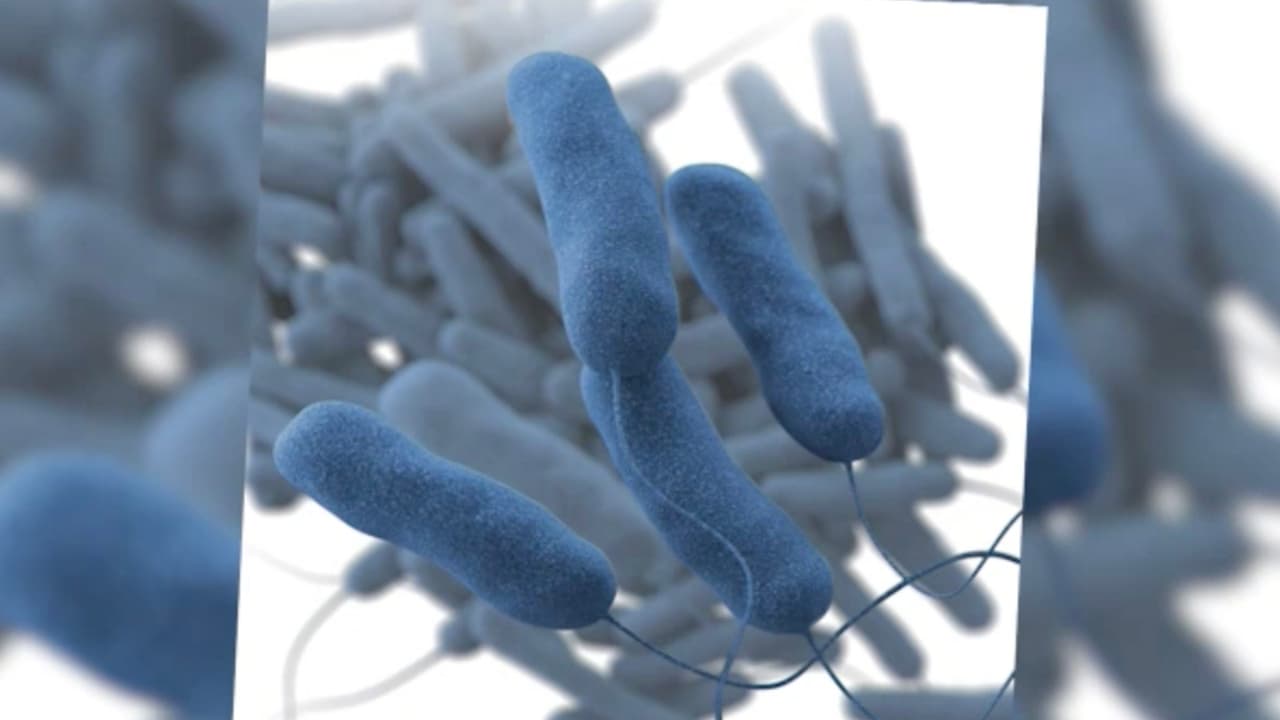 “Lamentablemente cuando hay epidemias se mueren muchas personas por problemas pulmonares como son complicaciones por pulmonías bastante fuertes que se reproducen en solo días, y que terminan en insuficiencia respiratoria en los hospitales”, indicó el especialista.