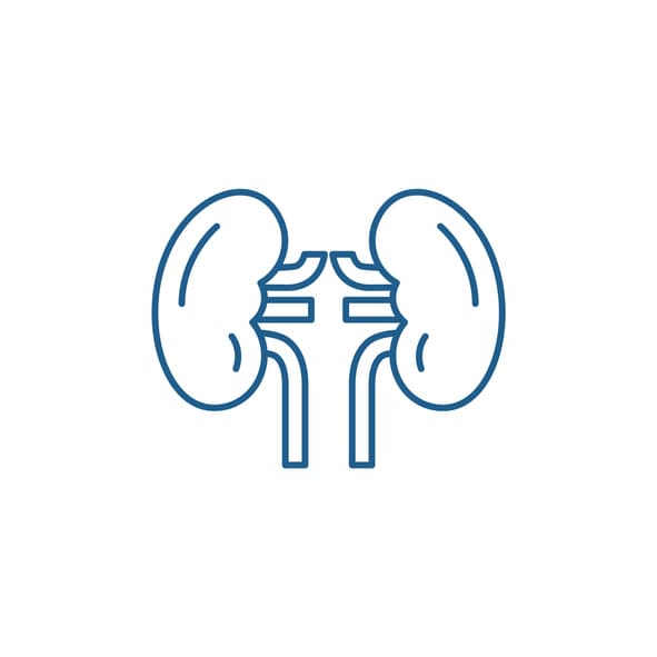 Casi la mitad de todos los casos de 
<a href="https://www.univision.com/noticias/salud/dos-pulmones-ajenos-le-salvaron-la-vida-ahora-necesita-un-trasplante-de-rinon-a-todos-nos-toca-un-aprendizaje-este-ha-sido-el-mio" target="_blank">falla rena</a>l son causados por la diabetes, advierte el America Kidney Fund en su 
<a href="https://www.univision.com/noticias/salud/prevenir-la-insuficiencia-renal-y-los-problemas-cardiovasculares-el-beneficio-anadido-de-un-popular-medicamento-contra-la-diabetes" target="_blank">página web. </a>