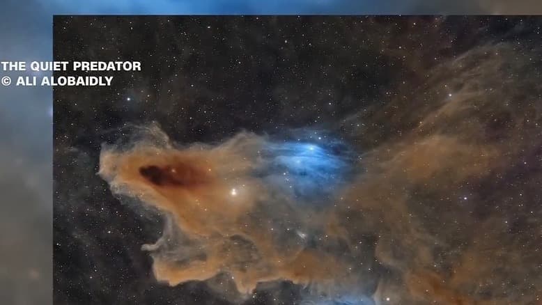 El depredador silencioso, ¡no te asustes! es la foto ganadora del premio al fotógrafo astronómico del año