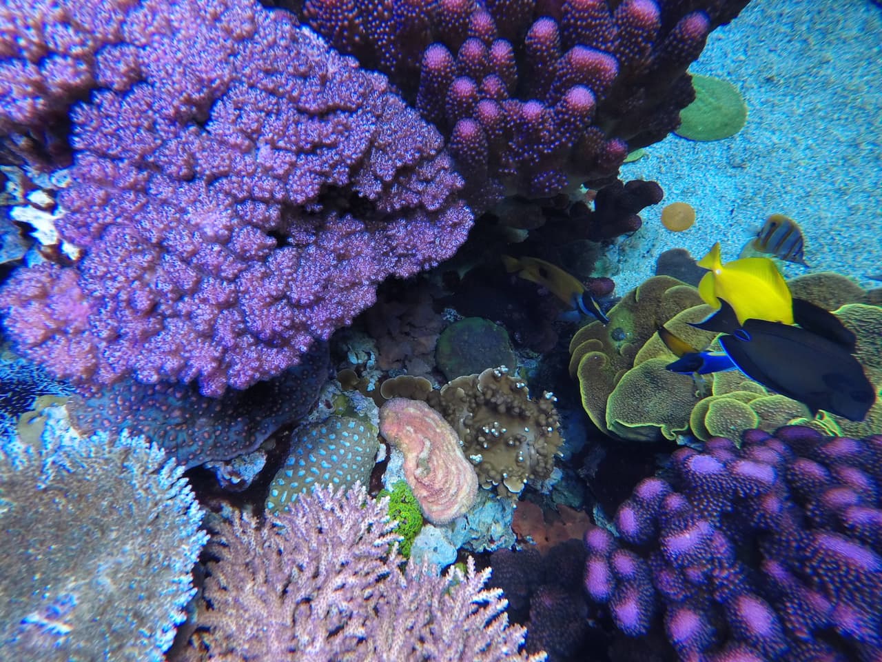 Ten en cuenta que todas las visitas deben ser reservadas con anticipación y tienen costo para visitantes mayores de 12 años.