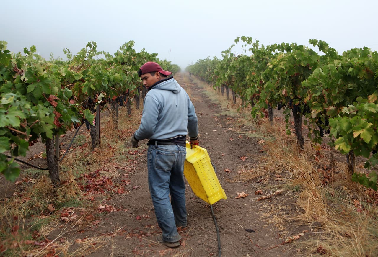 En el Valle Central, los números también reflejan avances respecto de la década pasada donde el desempleo se mantenía en los dos dígitos. La cesantía disminuye a nivel estatal, pero los condados del valle siguen liderando la lista del más alto desempleo en California. En cambio, los condados con mayor tasa de empleabilidad son: San Francisco, Marin y San Mateo, que no sobrepasan el 2% de cesantía.