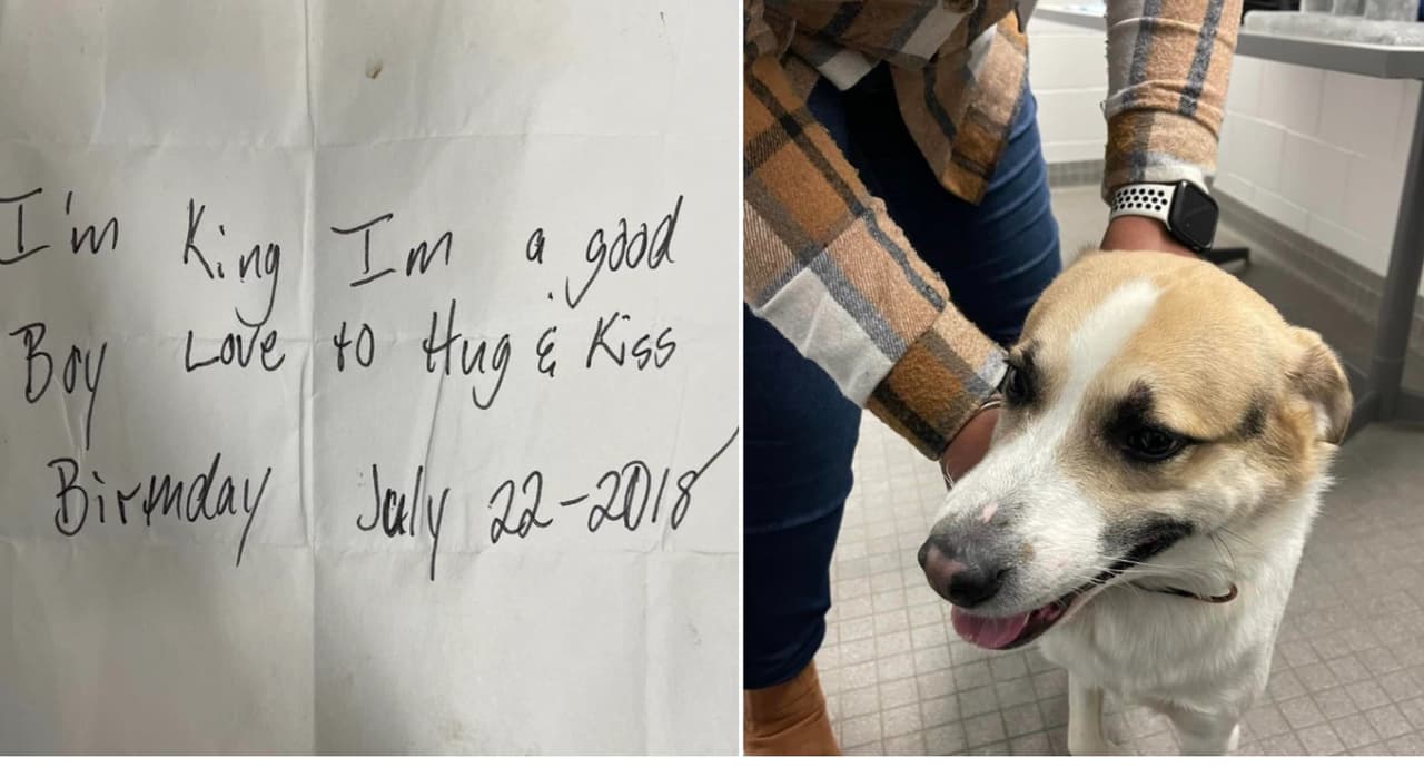 Perro es abandonado en Burger King con una nota: "Soy un buen chico"