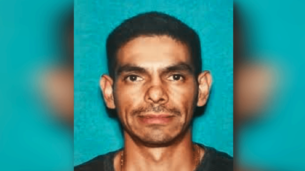 Atrapan a un hombre buscado por el asesinato de su esposa gracias a que lo atropellaron