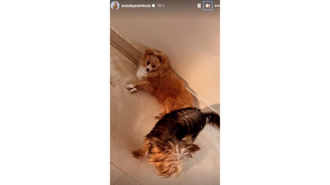 Aracely Arámbula lanza publicación durante la boda de Michelle Salas y Danilo Díaz.