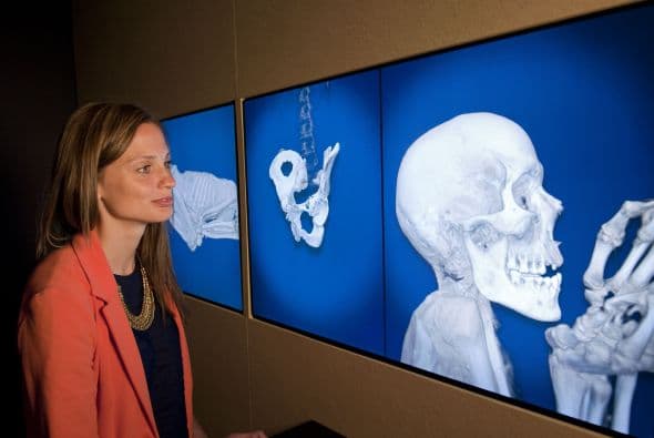 El museo utilizó las últimas tecnologías de Tomografía Computarizada (CT) para fotografiar los cuerpos de las momias y determinar su edad, de qué murieron, si habían sido enterradas con amuletos, qué enfermedades padecían y a qué se dedicaban.