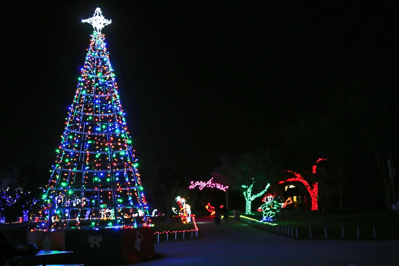 Un enorme pino navideño hace parte del recorrido por el festival de luces del parque.