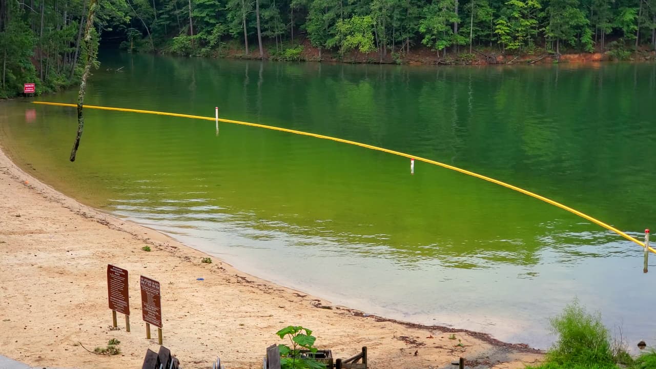 La zona para nadar está cerca de una península llena de zonas de picnic.