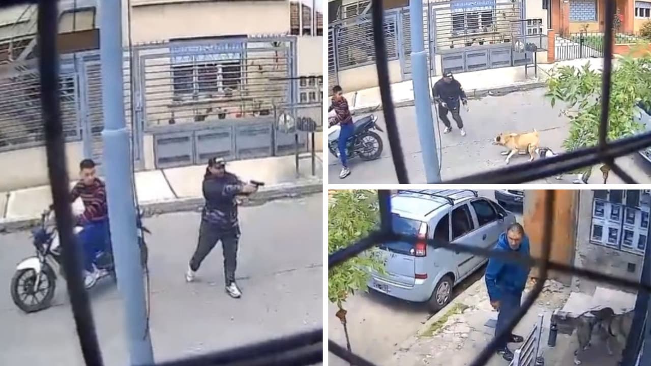 Todo ocurrió en pocos segundos y las perritas fueron felicitadas por su trabajo