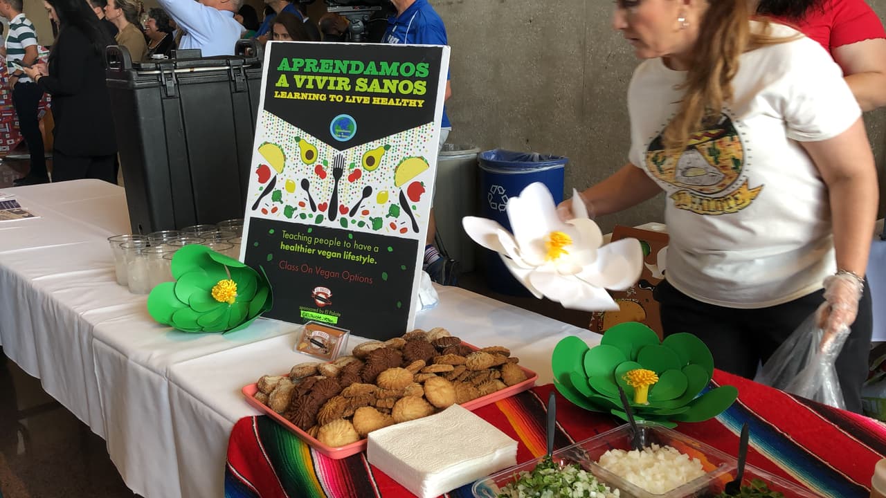 Si la mayoría de los hispanos salieran a votar podrían lograr una mayor representación en el gobierno local en la ciudad de Dallas. Lo que significaría mayores beneficios para la comunidad hispana en el Metroplex.
<br>