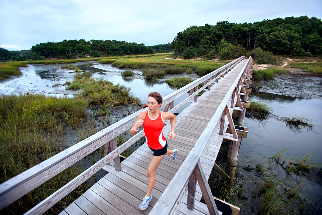 La Oveja en el mes del Mono (del 21/22 de julio al 22/23 de agosto) (Los nacidos en 1931, 1943, 1955, 1967, 1979, 1991, 2003, 2015). Deja a un lado esas exigencias fuertes que solamente estropean tu horizonte sentimental. Ahora se ha iniciado una etapa feliz y en tu panorama afectivo surgen compromisos amorosos, parejas, y uniones libres de todo tipo. Por Profesor Zellagro