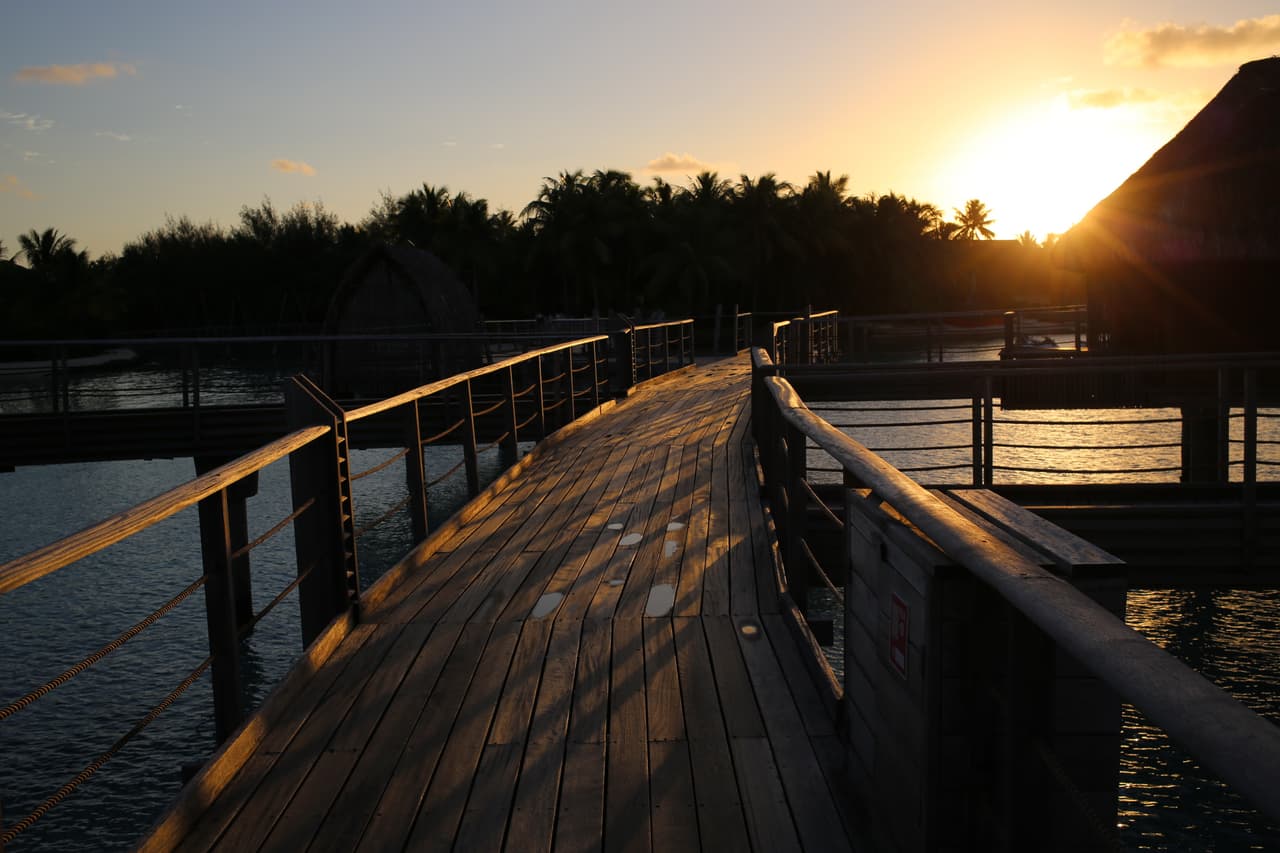 No, no vayan a pensar que se les pegó la suegra.