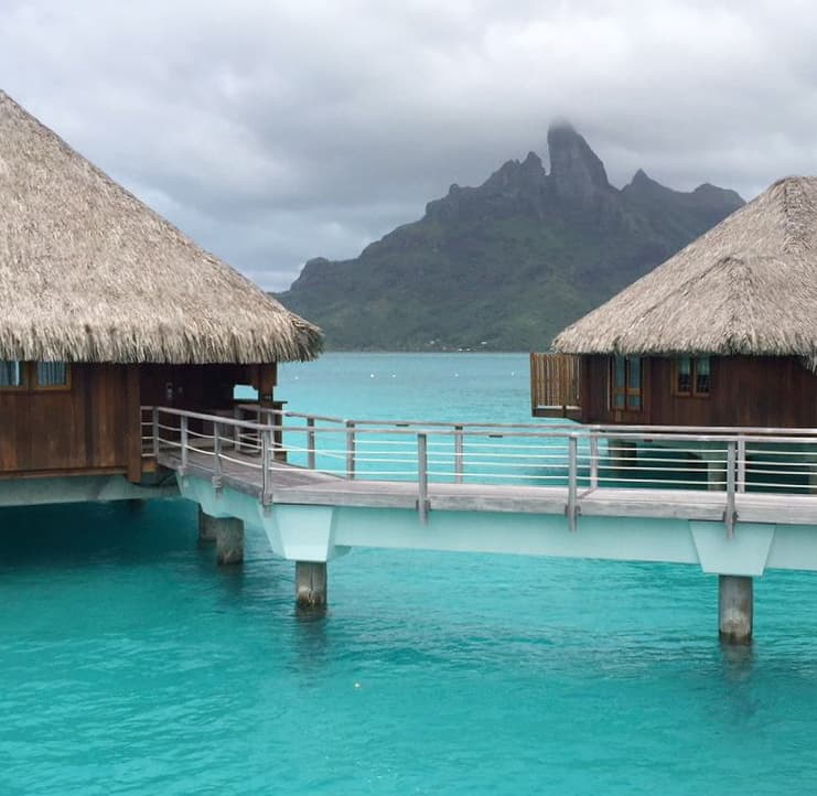 Pero los tortolitos no están solos...