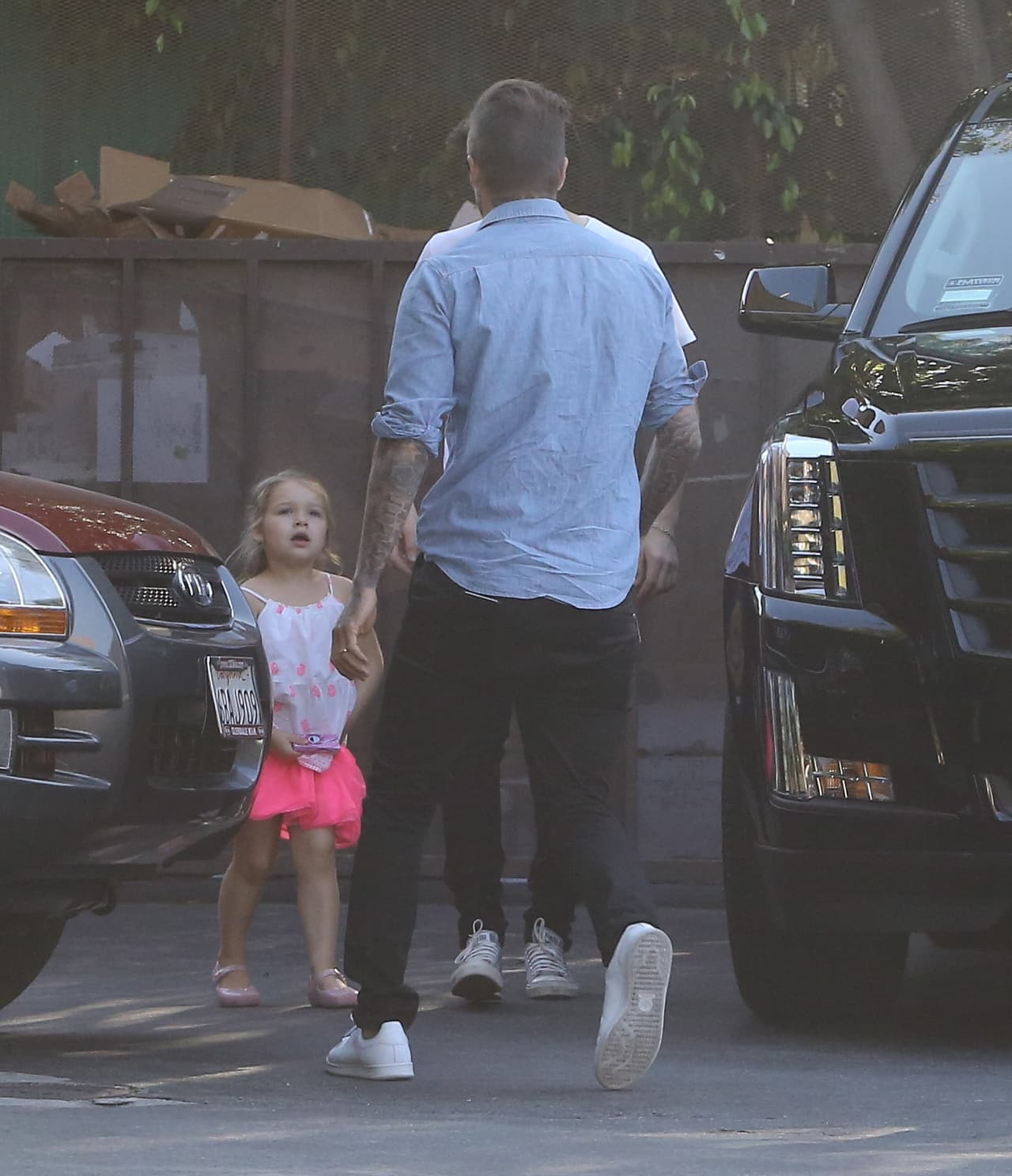 Tiene al mejor régimen justo en casa.