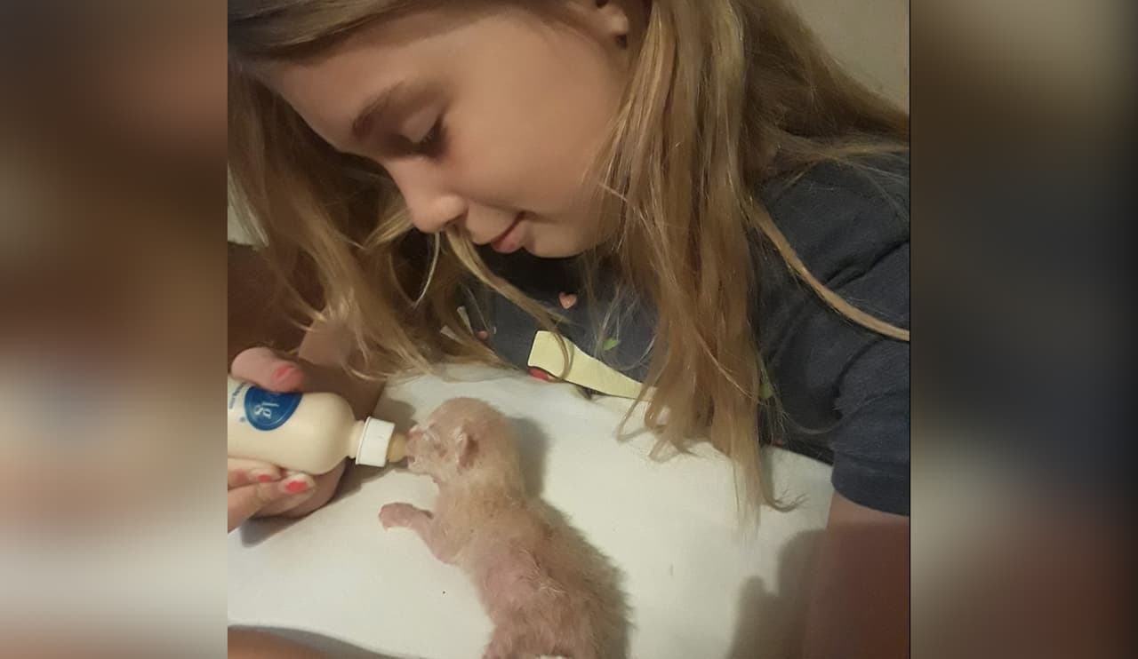 Greenlee amaba a sus gatos y murió tratando de rescatarlos cuando se atascaron detrás de una secadora