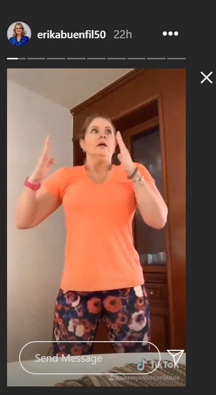 Origel dijo que "¡ya es mucha payasada!" acerca de los contenidos que Buenfil publica en TikTok, en donde tiene más de 
<b><a href="https://www.tiktok.com/@erikabuenfiloficial?lang=es" target="_blank">8.5 de seguidores. </a></b>
<br>