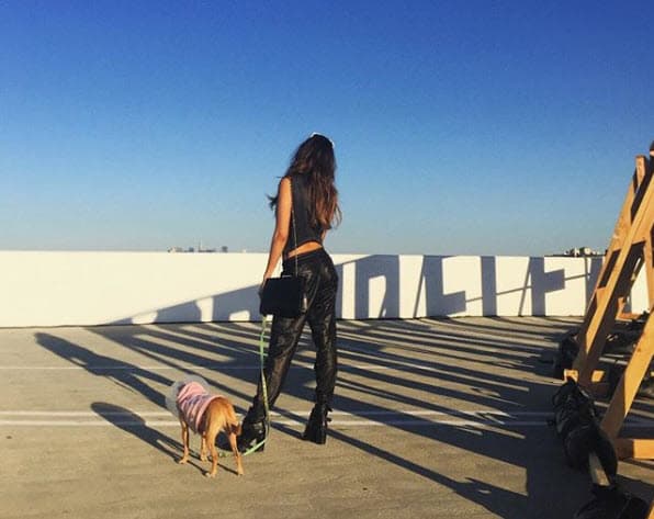 La actriz siempre ha dicho que quiere a Pasita como si fuera su hija, es por eso que ha sido tan doloroso para ella verla enferma.