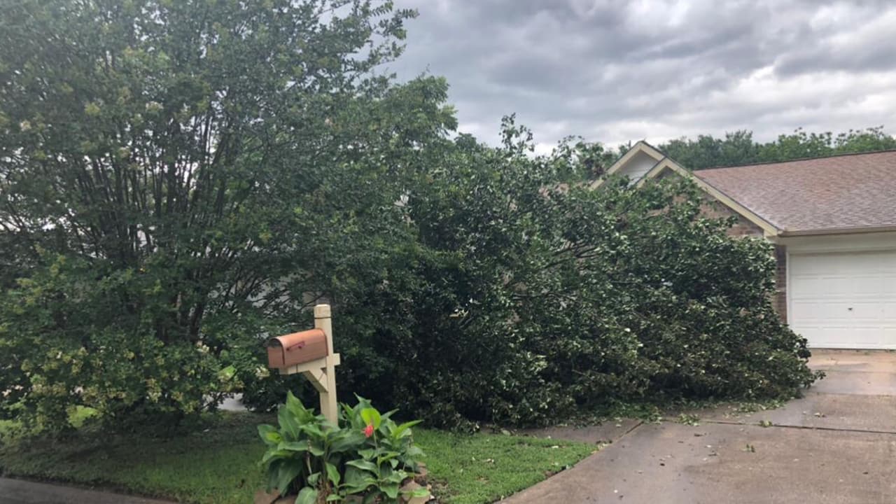 Lydia Yinat - área de Katy.