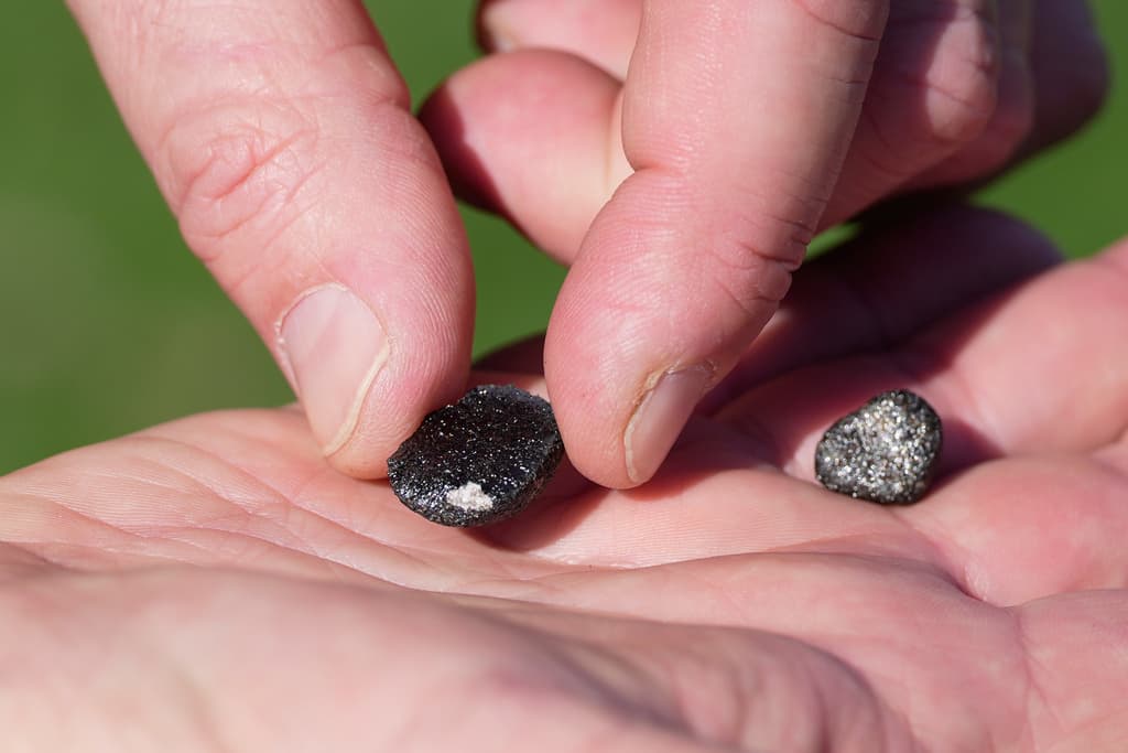 Cazadores de meteoritos buscan en Ohio fragmentos de una roca espacial de 7 toneladas que se estrelló contra la Tierra