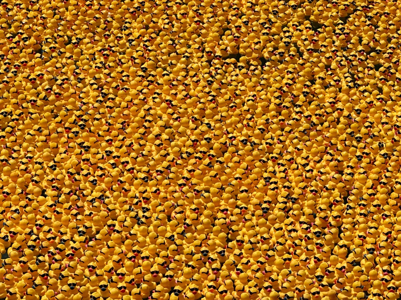 <b>5) </b>Estos serán los premios: El primer patito en llegar se llevará una camioneta Chevy Trax. El segundo, 2,500 en efectivo. Y el tercero 4 entradas para el parque Six Flags. Los ganadores no necesitan estar presentes, se les notificará por llamada o correo.