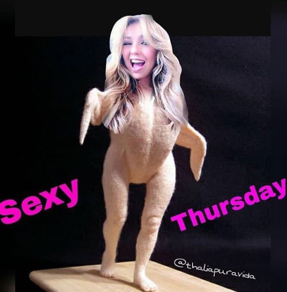 Un pavito muy coqueto.