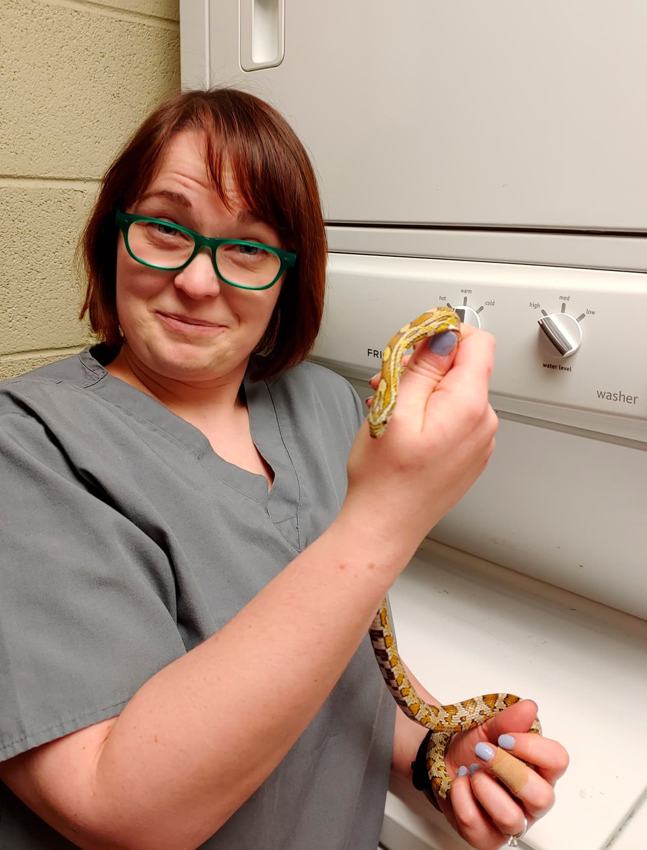 En esta fotografía del 8 de mayo de 2019, proporcionada por Chicago Exotics, la veterinaria Melissa Giese del hospital veterinario Chicago Exotics sostiene la serpiente maicera en Skokie, Illinois.
