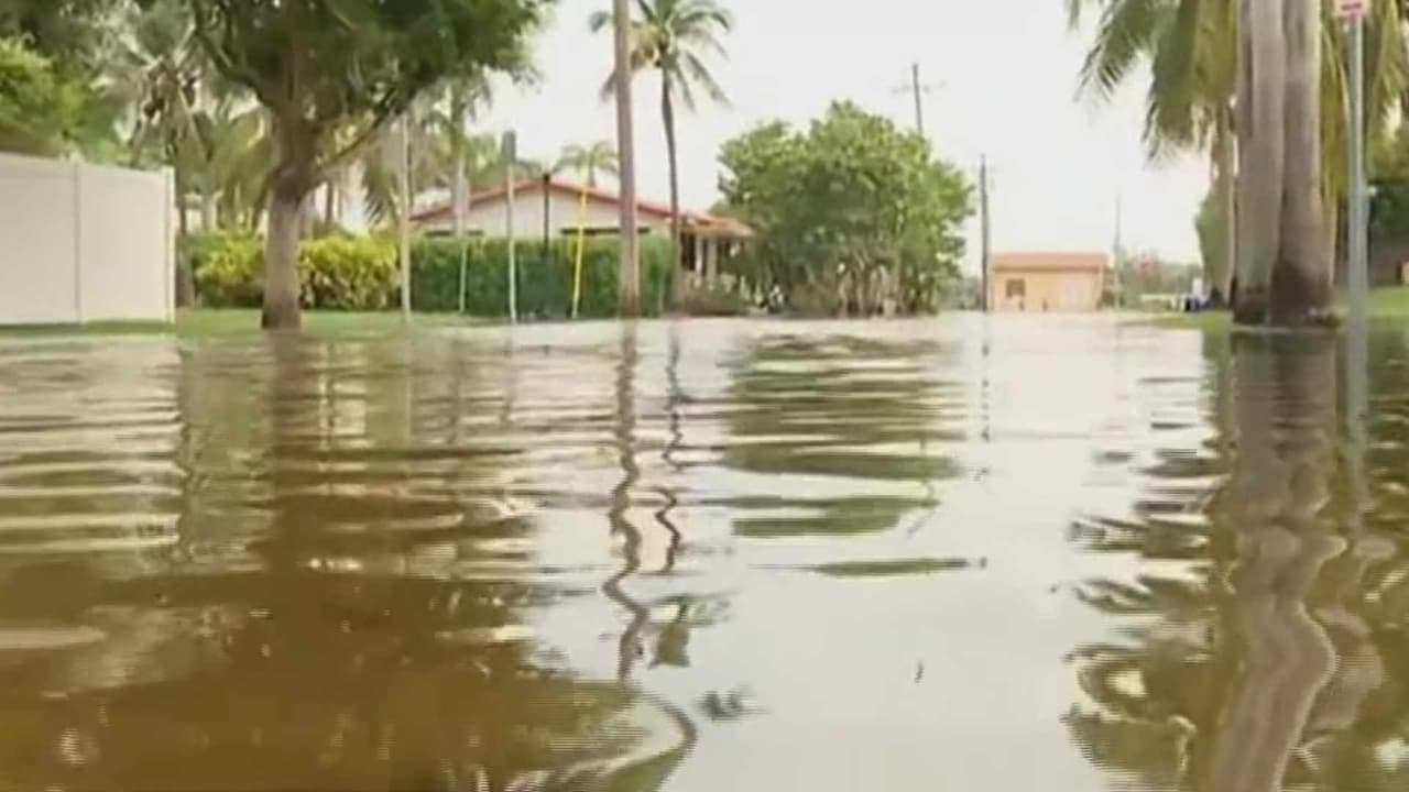 Además de Hallandale Beach y Hollywood, en Fort Lauderdale el alcalde declaró el estado de emergencia debido a los estragos causados por el mal tiempo.