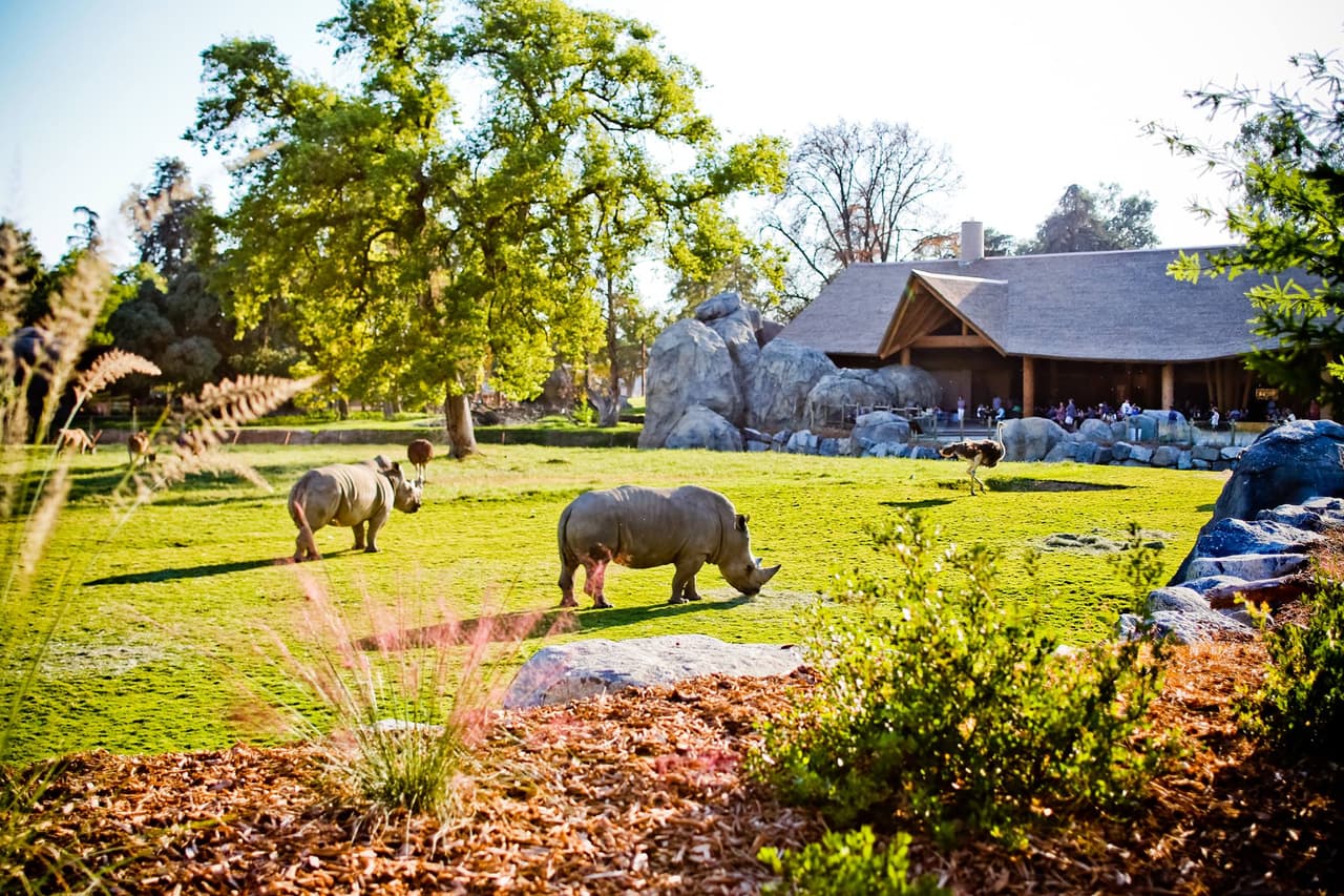 <b><a href="https://www.facebook.com/fresnochaffeezoo/posts/10157905719727894" target="_blank">El zoológico de Fresno </a></b>y otros museos, acuarios también están obligados a cerrar y no pueden atender público durante las próximas tres semanas. Cualquier boleto compado para un evento en el 
<b>Zoológico Chaffee</b> ser´a reembolsado.