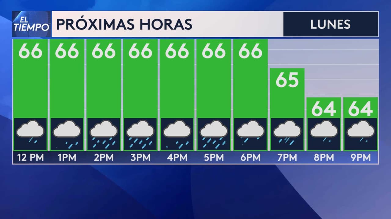 <b>Este es el pronóstico del tiempo para las próximas horas</b>.