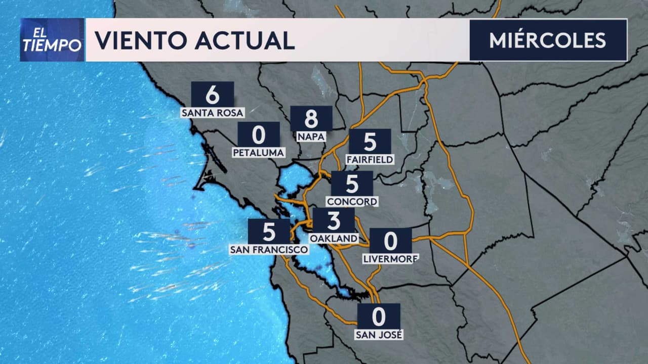 <b>Así estarán los vientos en las próximas horas</b>.