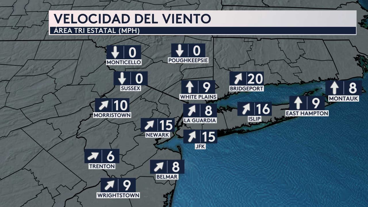 <b>Así estarán los vientos en las próximas horas</b>.