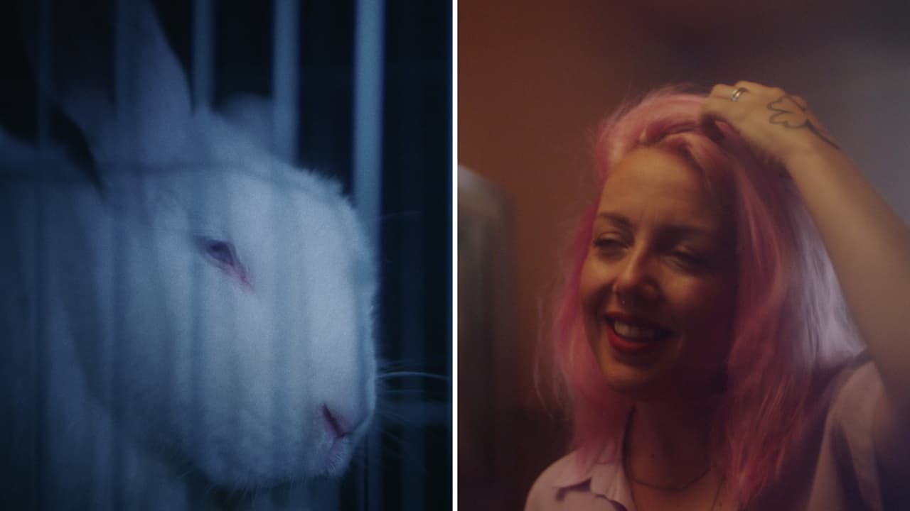  5 cambios sociales que antes eran impensados y hoy están naturalizados ¿Te acuerdas?