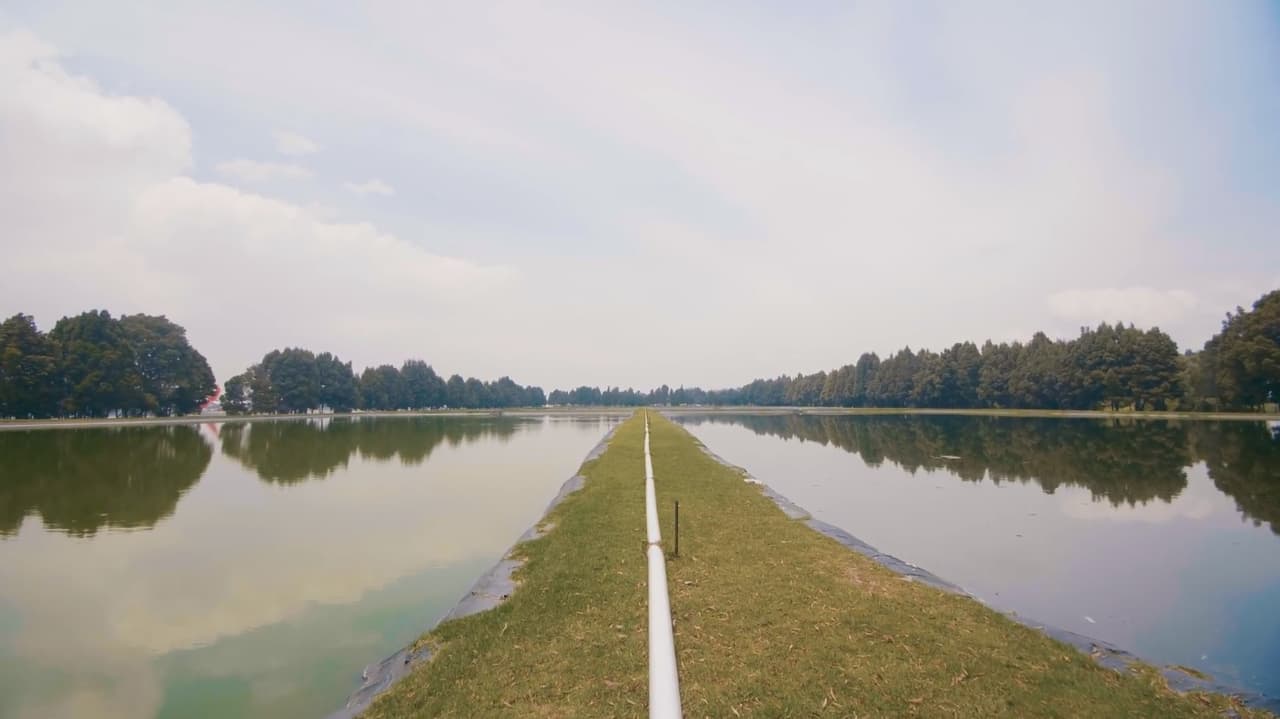 5 razones por las que el Aeropuerto el Dorado hace honor a la historia de su nombre