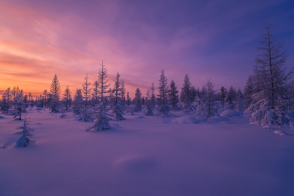 Una ciudad de Alaska se despide del Sol y vivirá en la oscuridad por 65 días