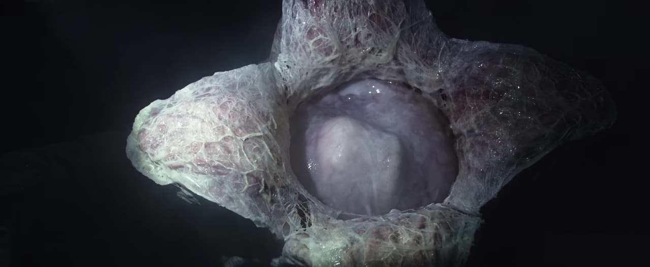 Alien: Covenant: Este nuevo e intenso trailer nos deja ver al Xenomorfo en todo su esplendor