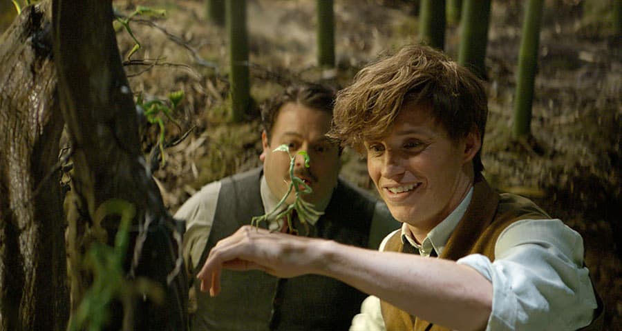 Animales Fantásticos 2: la nueva imagen revela datos muy interesantes sobre la trama