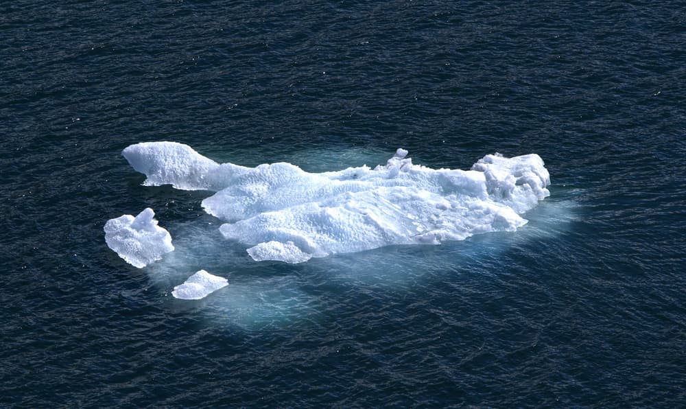 Calentamiento global: el hielo de la Antártida se derrite cada vez más rápido