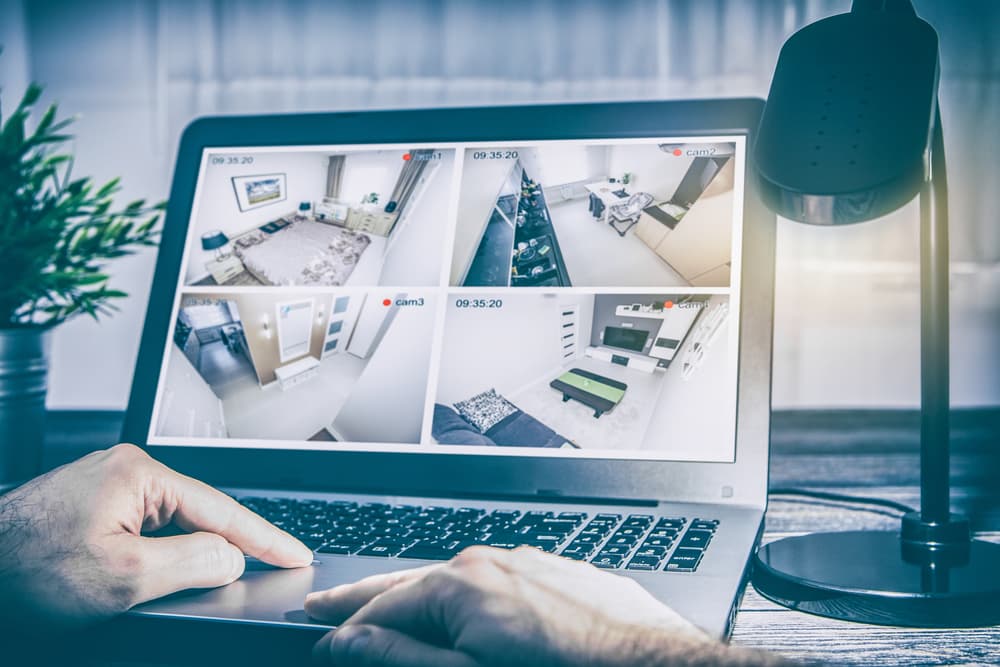 ¿Sabes qué hacen tus mascotas cuando no estás en casa? ¡Mira cómo saberlo!