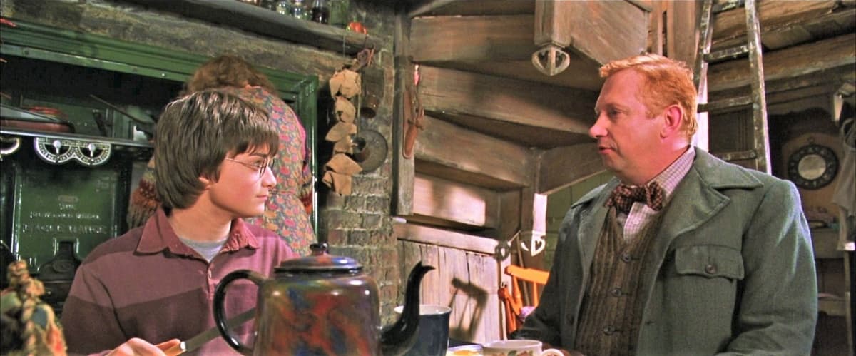 Harry Potter era rico y los Weasley no, ¿por qué nunca los ayudó con dinero? 