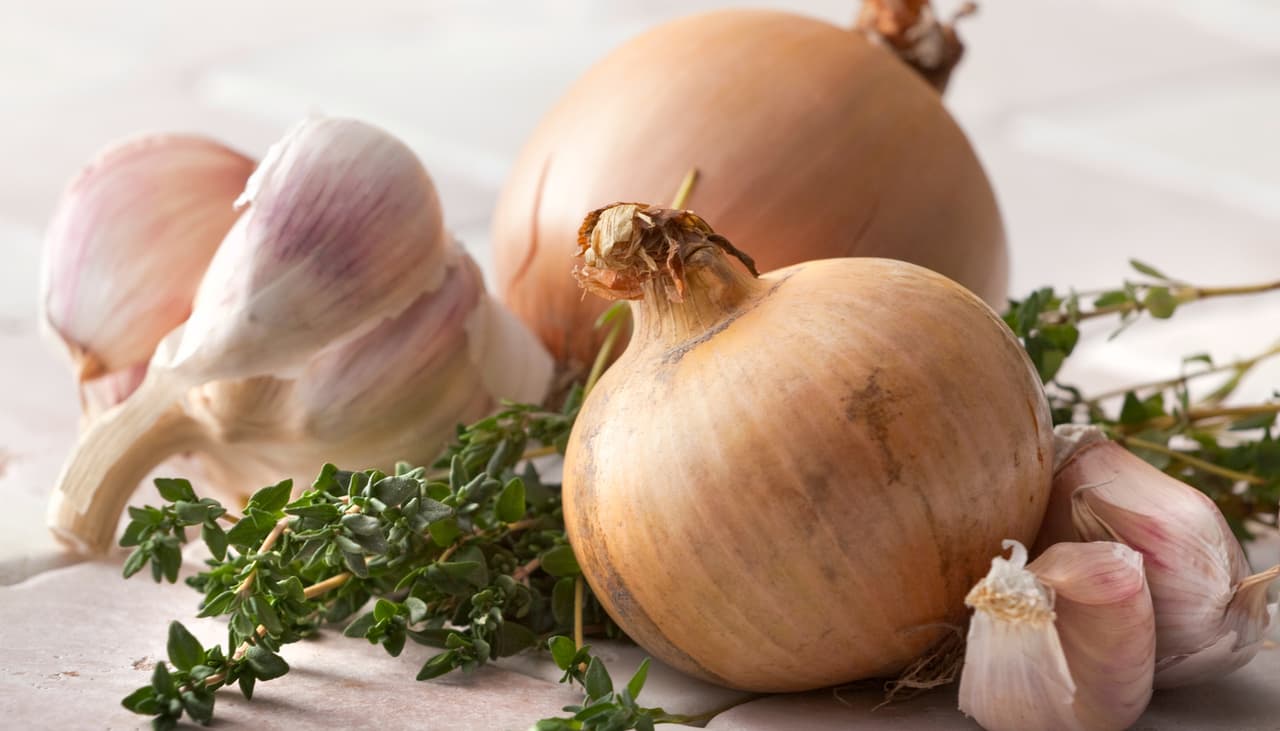 Cómo tener un sistema inmunológico de hierro: médico indica 16 alimentos que lo fortalecen