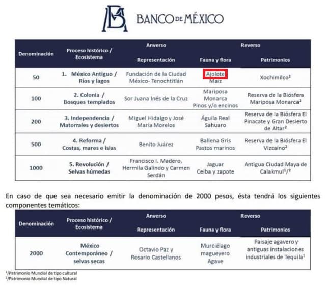  El nuevo billete de Axolotl mató de ternura a los mexicanos ¡Estas son las mejores reacciones!